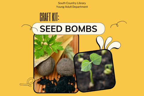 Seed Bombs