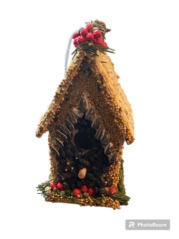 Edible Birdhouse