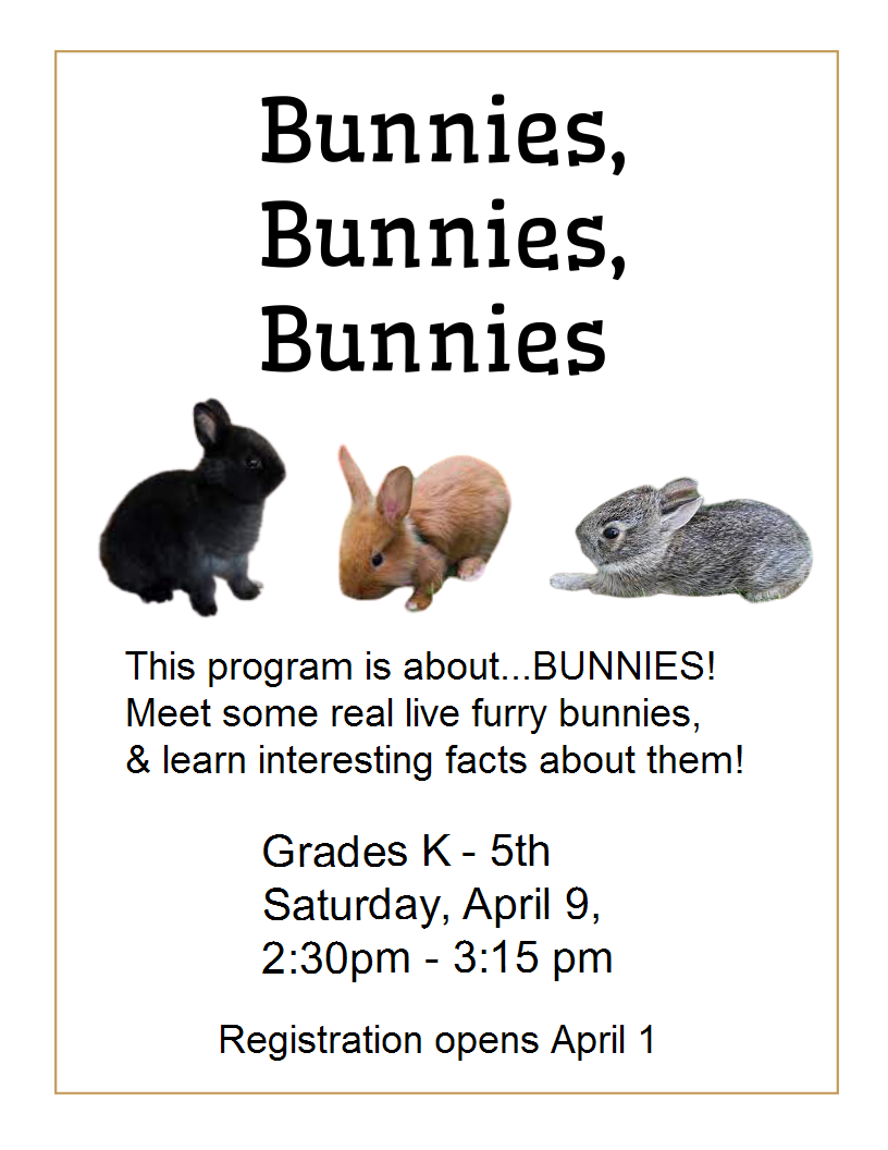 Bunnies, Bunnies, Bunnies