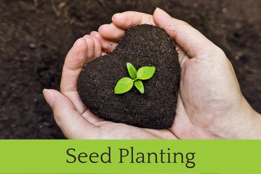 Seed Planting