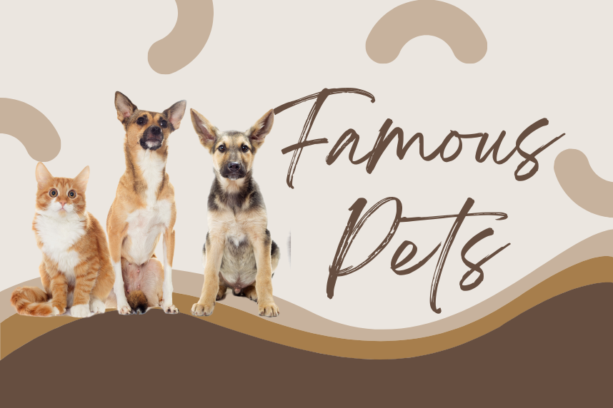 Famous Pets