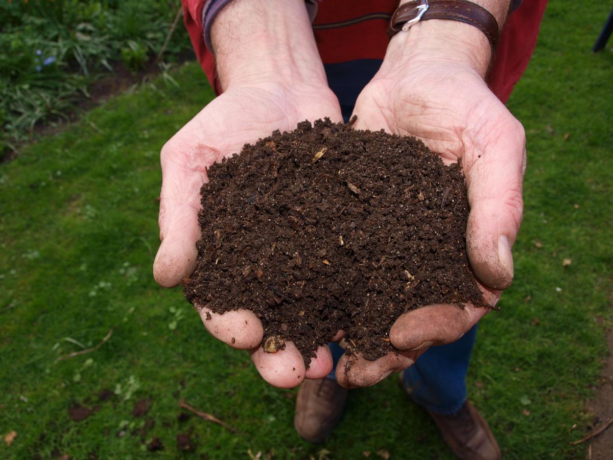 handful of soil