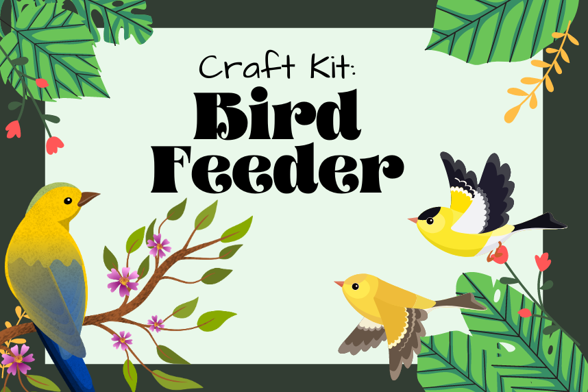 Craft Kit: Bird Feeder