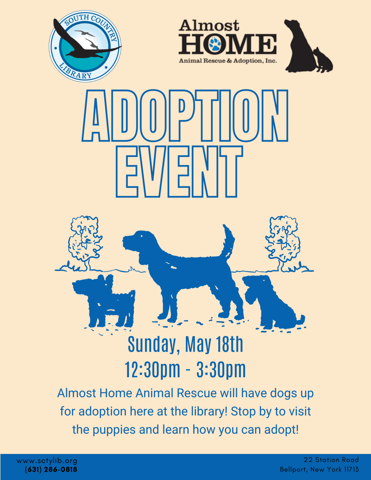 adoption event